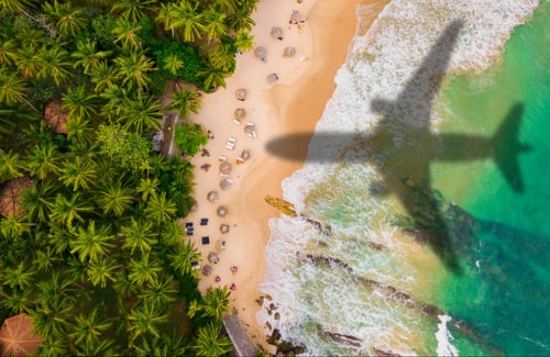 Schatten eines Flugzeuges das über einen palmenbesäumten Strand fliegt