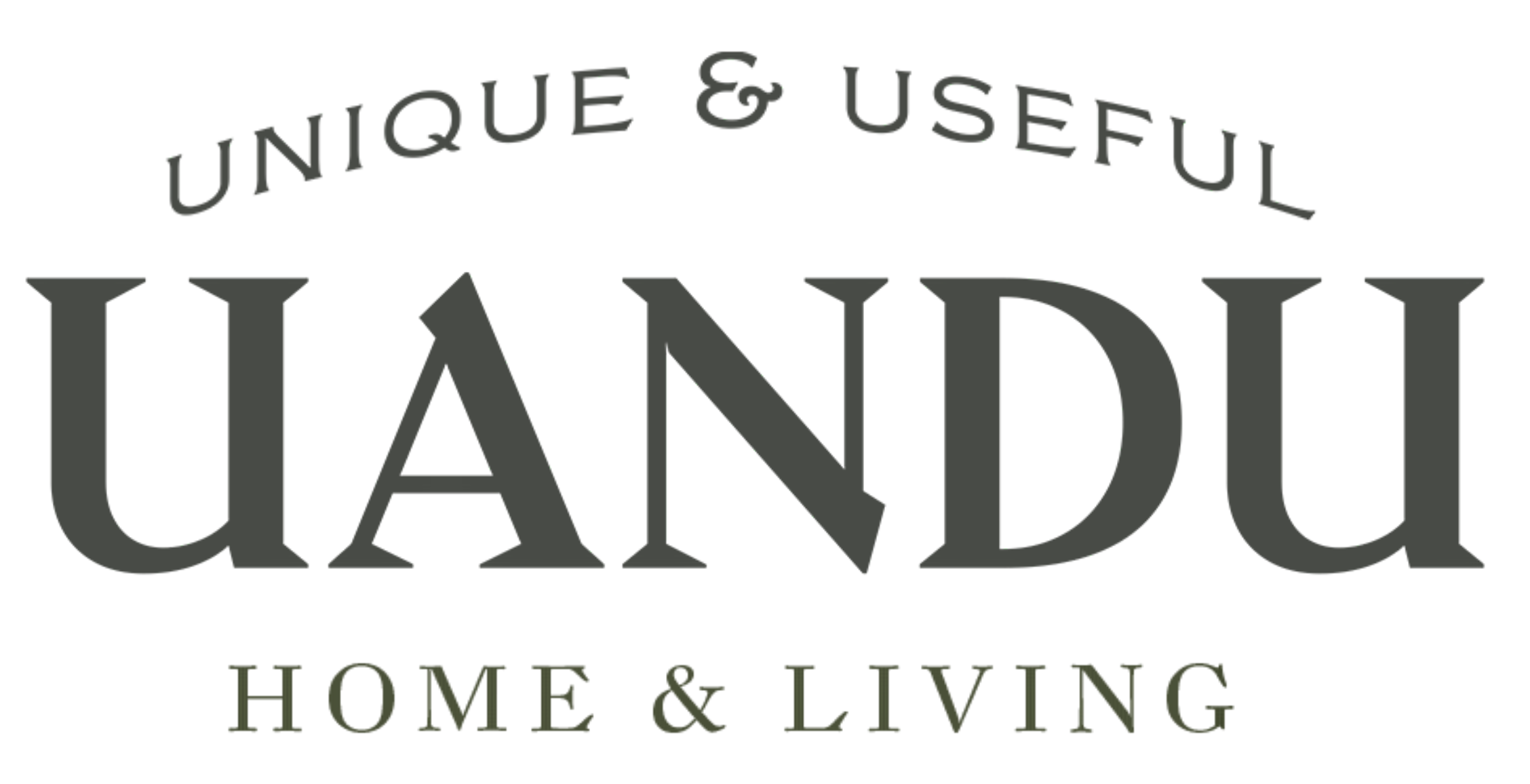 UANDU Int logo