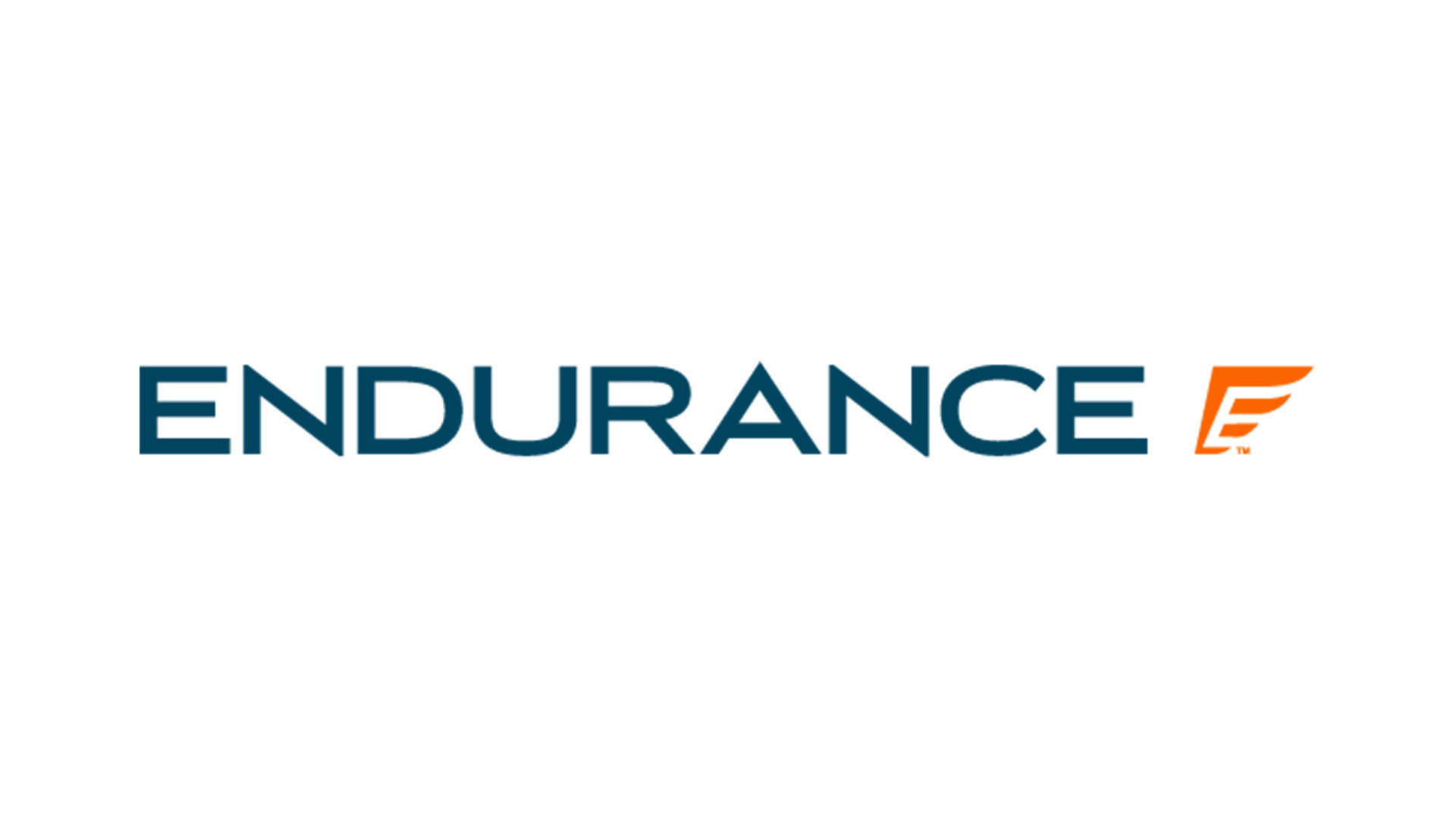 Endurance logo