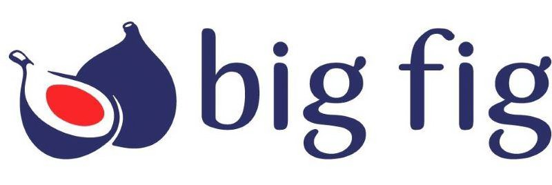 Big Fig Mattress logo