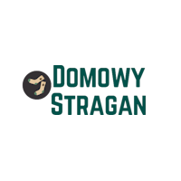 Domowystragan.pl logo